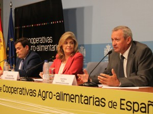 José Barea tejeiro - José Luis Monzón Campos